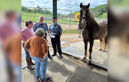 Long-serving Allegheny County Police Horse, Henry, Retires After 18 Years on the Force