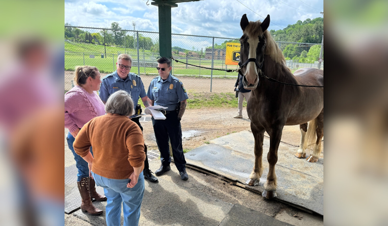 Long-serving Allegheny County Police Horse, Henry, Retires After 18 Years on the Force