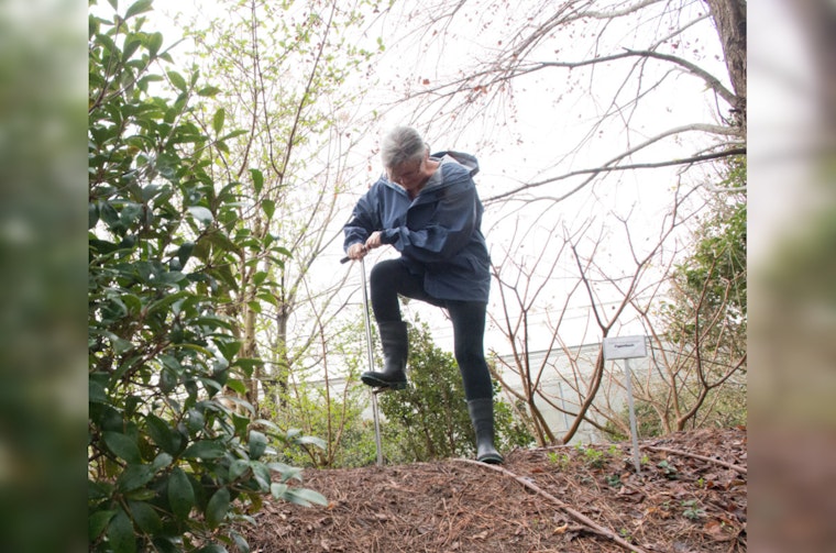 Los Angeles County Rolls Out Soil Testing for Lead Contamination Post-Eaton Fire