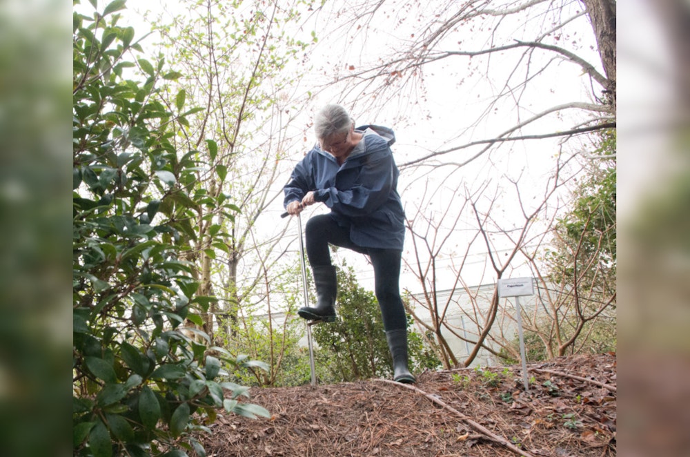 Los Angeles County Rolls Out Soil Testing for Lead Contamination Post-Eaton Fire