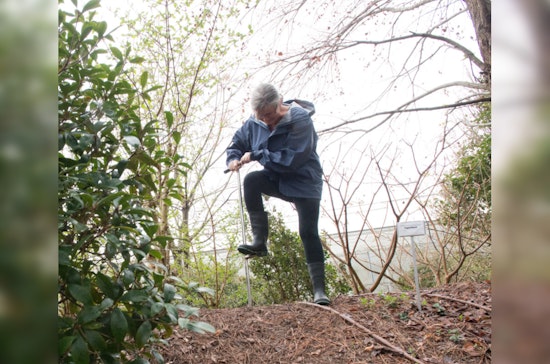 Los Angeles County Rolls Out Soil Testing for Lead Contamination Post-Eaton Fire