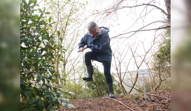 Los Angeles County Rolls Out Soil Testing for Lead Contamination Post-Eaton Fire
