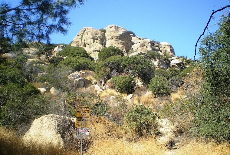 Los Angeles Fire Department Conducts Aerial Rescue of Injured Hiker at Stoney Point Park in Chatsworth
