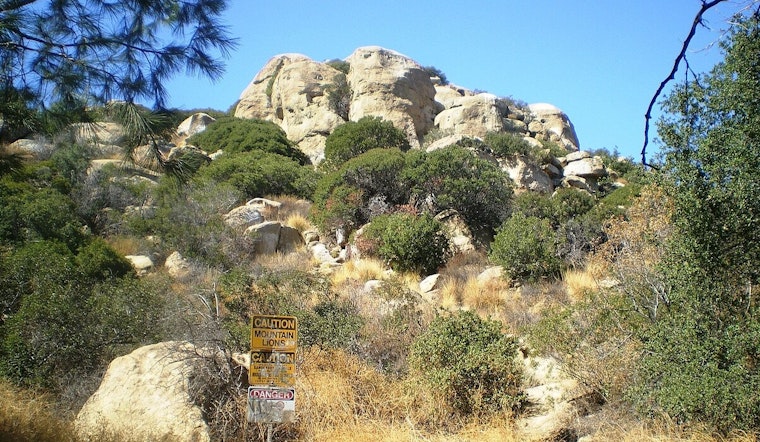 Los Angeles Fire Department Conducts Aerial Rescue of Injured Hiker at Stoney Point Park in Chatsworth