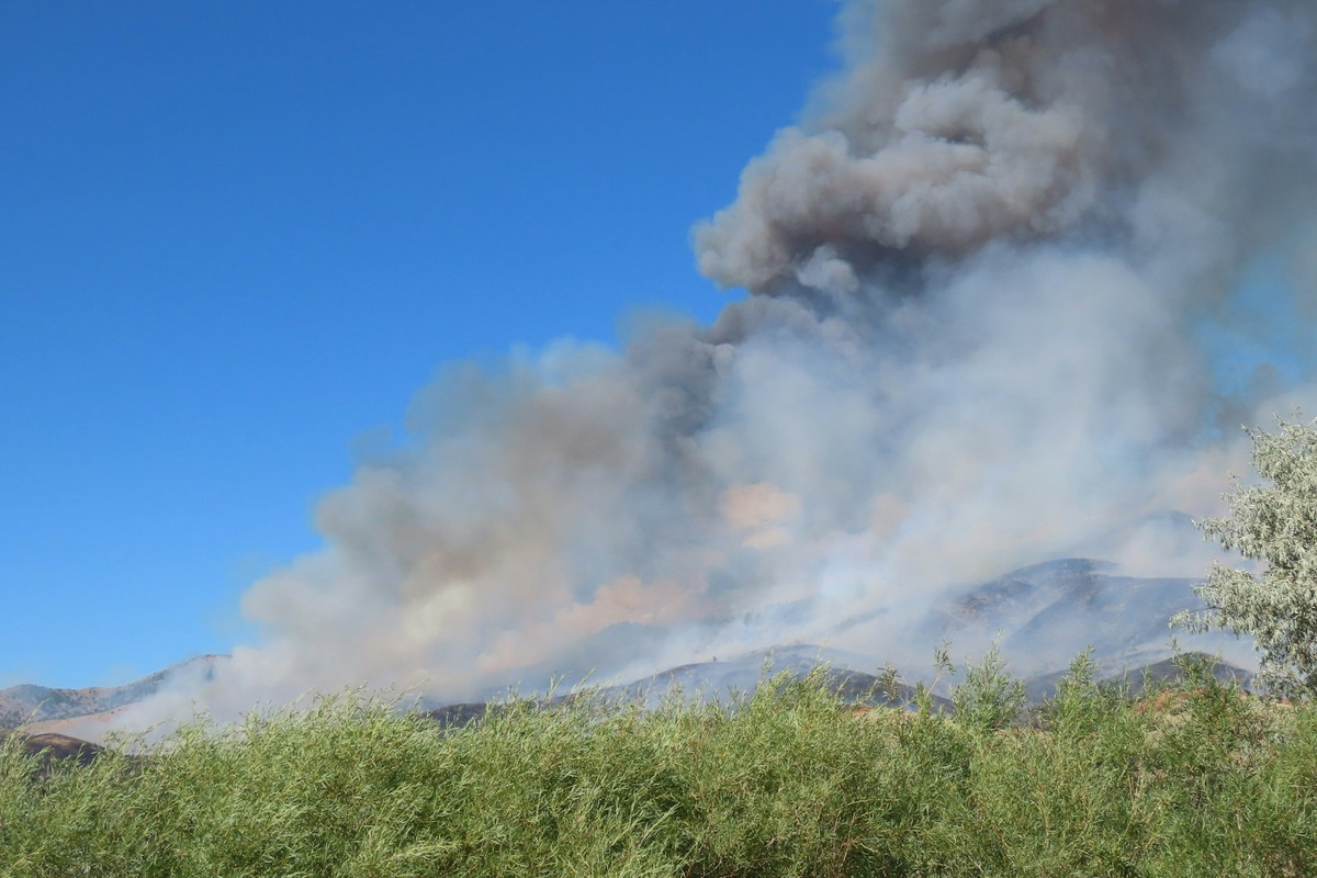 Los Angeles Firefighters Halt 4-Acre Blaze in Sepulveda Basin, Civilian Burned, Orange Line Service Disrupted