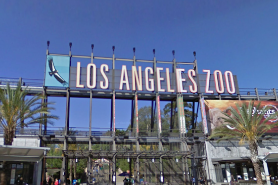 Los Angeles Resident Sues Zoo to Stop Transfer of Elephants to Oklahoma, Celebrities and Advocates Rally for Sanctuary Relocation