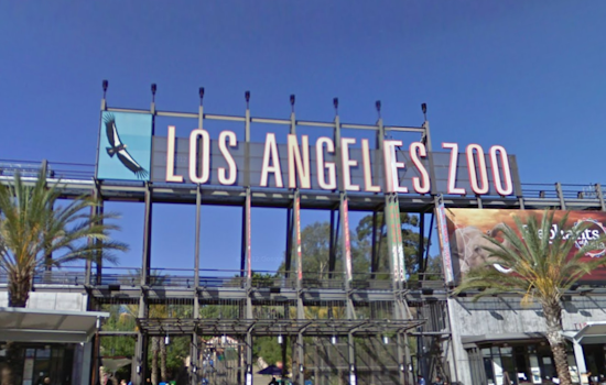 Los Angeles Resident Sues Zoo to Stop Transfer of Elephants to Oklahoma, Celebrities and Advocates Rally for Sanctuary Relocation