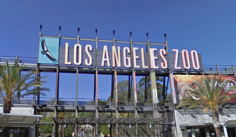 Los Angeles Resident Sues Zoo to Stop Transfer of Elephants to Oklahoma, Celebrities and Advocates Rally for Sanctuary Relocation