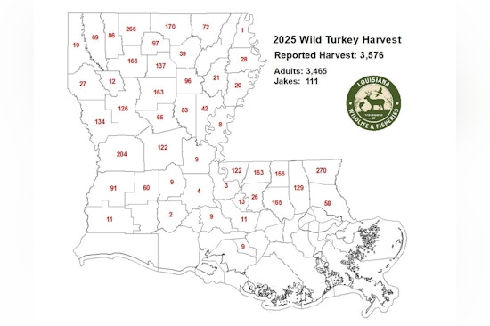 Louisiana Hunters Close to Record with Over 3,500 Turkeys Harvested in 2025 Season