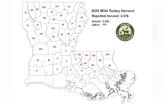 Louisiana Hunters Close to Record with Over 3,500 Turkeys Harvested in 2025 Season