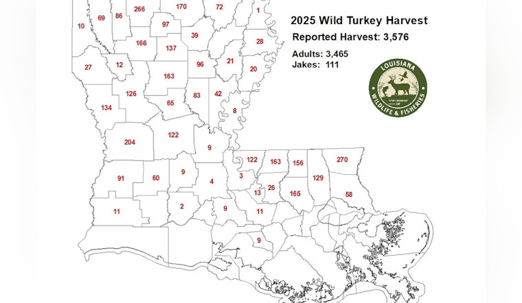Louisiana Hunters Close to Record with Over 3,500 Turkeys Harvested in 2025 Season