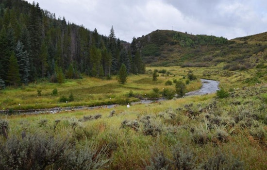 Mandatory Fishing Closure Enacted on Yampa River Stretch to Safeguard Fish amid Low Water Flows