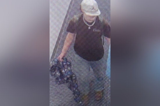 Manhunt Underway in Knoxville for Suspect Accused of Assaulting Woman Near University of Tennessee