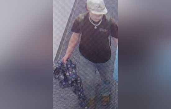 Manhunt Underway in Knoxville for Suspect Accused of Assaulting Woman Near University of Tennessee