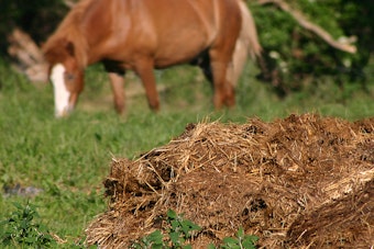 Manure Spill in Monroe County, Wisconsin Threatens Waterways and Wildlife