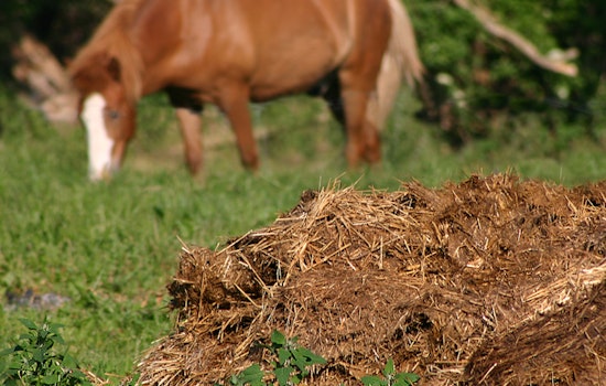 Manure Spill in Monroe County, Wisconsin Threatens Waterways and Wildlife