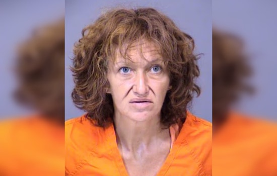 Maricopa County Woman Sentenced to 8.5 Years for $300K Identity Theft and Medical Fraud
