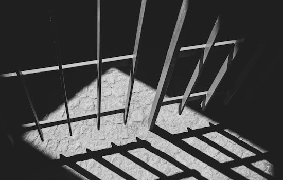 Maryland Man Sentenced to 25 Years for Murder of Children's Grandfather in Springfield Gardens