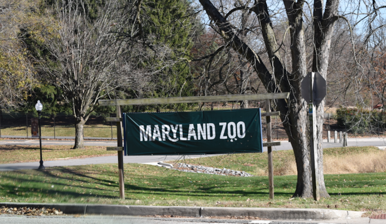 Maryland Zoo Breaks Ground on New Red Panda Habitat as Part of Main Valley Revitalization