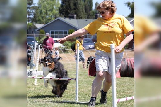 Marysville's Free Poochella Canine Festival Returns with Fun-Filled Activities and New Small Dog Races at Asbery Field