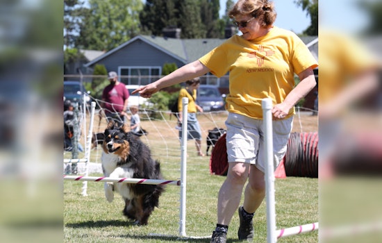 Marysville's Free Poochella Canine Festival Returns with Fun-Filled Activities and New Small Dog Races at Asbery Field
