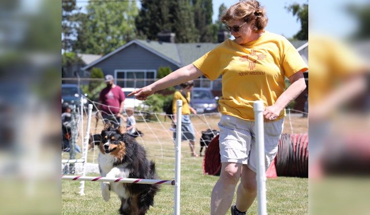 Marysville's Free Poochella Canine Festival Returns with Fun-Filled Activities and New Small Dog Races at Asbery Field