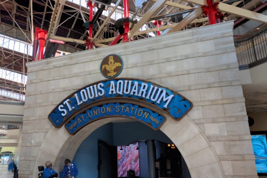 Measles Exposure Alert at St. Louis Aquarium Sparks Health Concerns Amid Rising National Cases