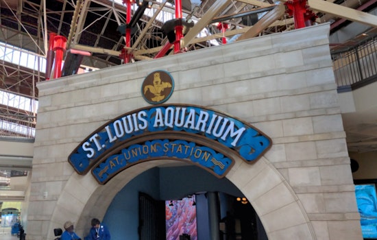 Measles Exposure Alert at St. Louis Aquarium Sparks Health Concerns Amid Rising National Cases