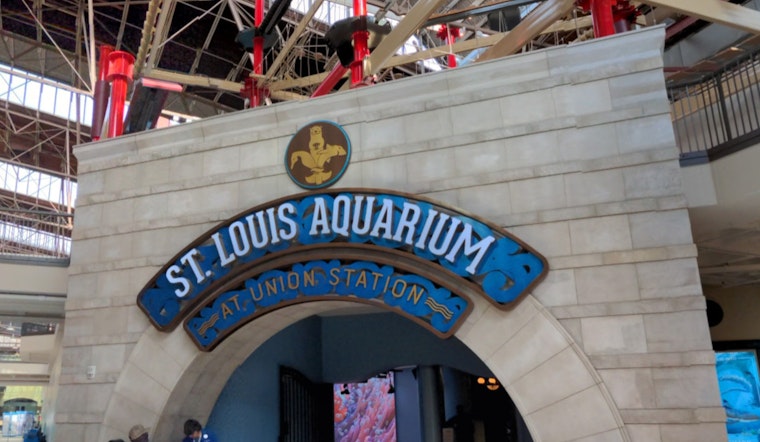 Measles Exposure Alert at St. Louis Aquarium Sparks Health Concerns Amid Rising National Cases