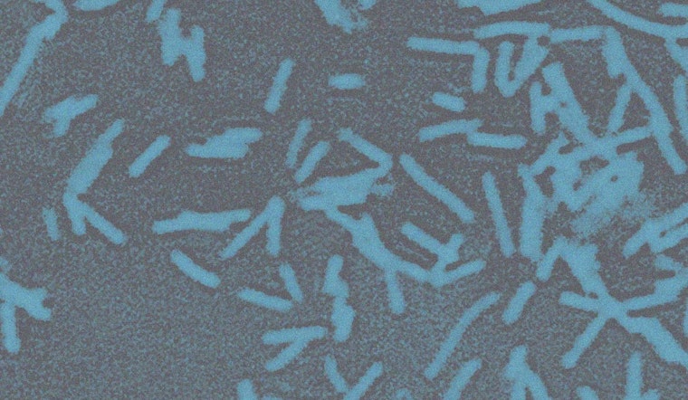 Medical Marvel as Oklahoma Scientists Turn Gut Bacteria Into Cancer Killing Machines