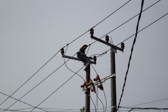 Memphis and DeSoto County Face Cleanup Challenges After Severe Storms Leave Thousands Without Power