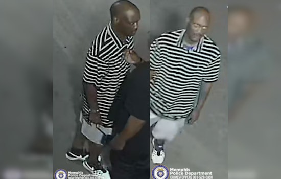 Memphis Police Seek Suspect in South Parkway Convenience Store Stabbing