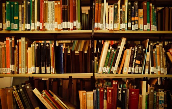 Menomonee Falls Allocates $300K from Library Funds to Police Amid Crime Rise, Community Divided over Budget Priorities