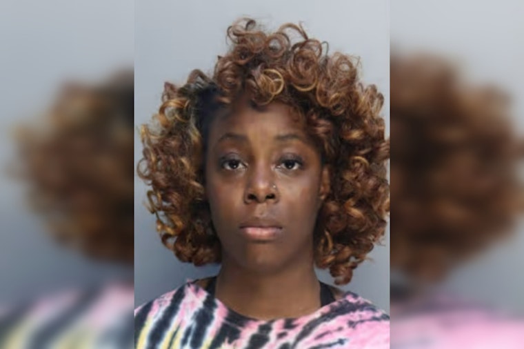 Miami Palmetto High Student Arrested for Bringing Stun Gun to School, Charged with Felony and Misdemeanor