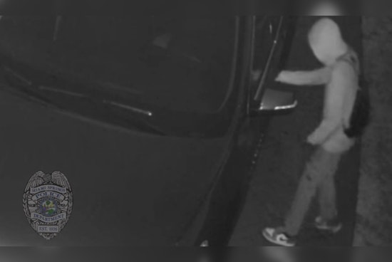 Miami Springs on Alert as Suspect in "Car Hopping" Spree Eludes Police, Loaded Gun Stolen