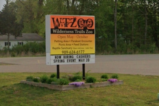 Michigan Zookeeper Injured by Bobcat at Wilderness Trails Zoo in Birch Run