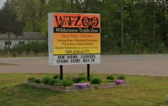 Michigan Zookeeper Injured by Bobcat at Wilderness Trails Zoo in Birch Run