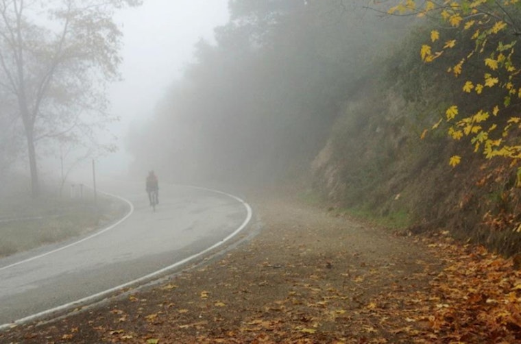 Mild Mornings and Sunny Afternoons Forecasted for Los Angeles Residents