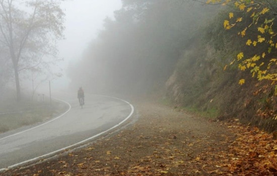 Mild Mornings and Sunny Afternoons Forecasted for Los Angeles Residents