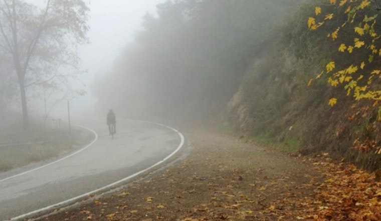 Mild Mornings and Sunny Afternoons Forecasted for Los Angeles Residents