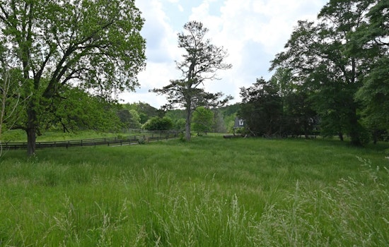 Milton City Council Votes to Protect 40 Acres on Hopewell Road, Embracing Environmental Preservation