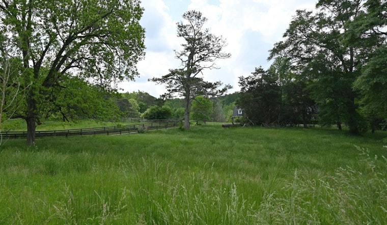 Milton City Council Votes to Protect 40 Acres on Hopewell Road, Embracing Environmental Preservation