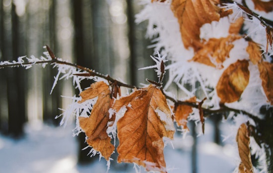Milwaukee's NWS Issues Frost Advisory for Southern Wisconsin, Mild Weekend Ahead with Elevated Fire Weather Alert