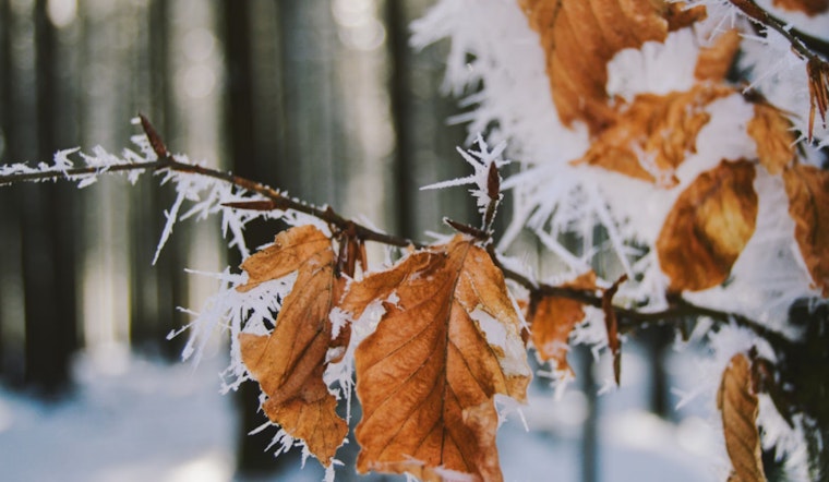 Milwaukee's NWS Issues Frost Advisory for Southern Wisconsin, Mild Weekend Ahead with Elevated Fire Weather Alert