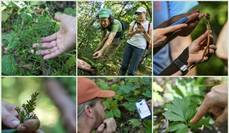 Minneapolis Park Board Invites Community to BioBlitz Events for Biodiversity Discovery