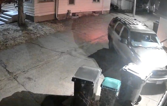 Minneapolis Police Arrest Woman Suspected of Vandalizing Over 50 Garage Doors