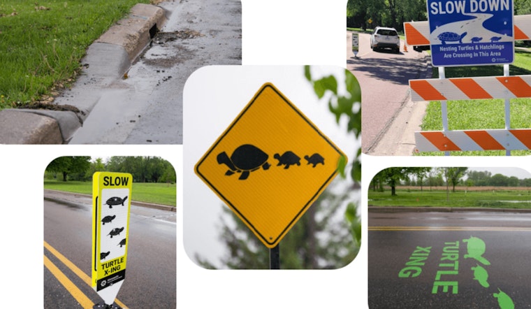 Minneapolis Rolls Out Pilot Program to Safeguard Turtles on Busy Parkways