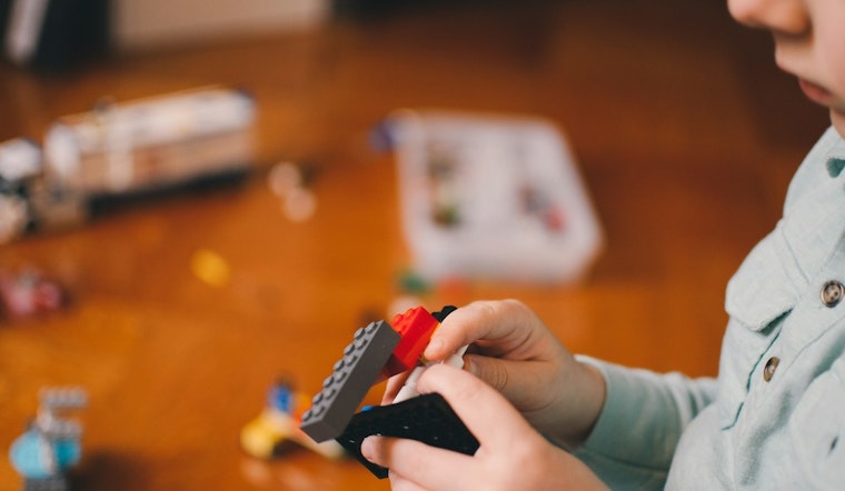 Minnesota DHS to Enhance Oversight of Autism and Housing Services as "High Risk" Starting Sunday