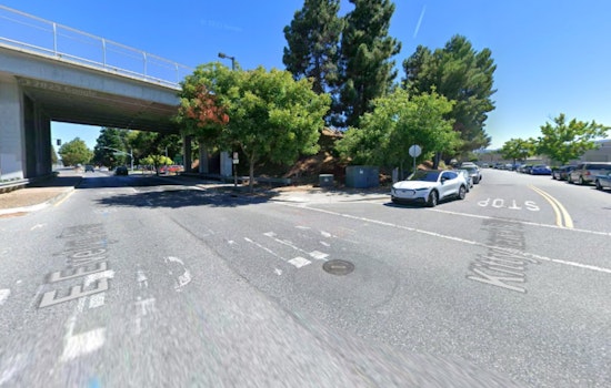 Morning Collision with Tree Leads to Delays, Suspected Driver Flees Scene in Mountain View