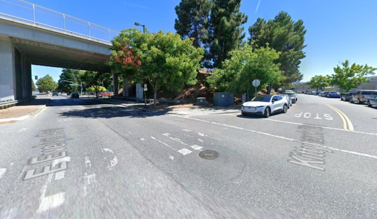 Morning Collision with Tree Leads to Delays, Suspected Driver Flees Scene in Mountain View